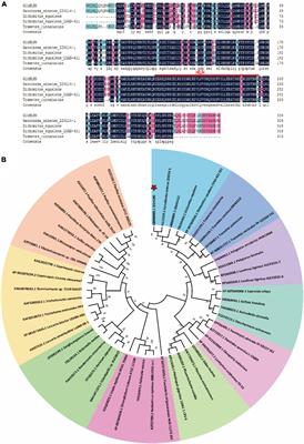 Identification of a Novel Metabolic Target for Bioactive Triterpenoids Biosynthesis in Ganoderma lucidum